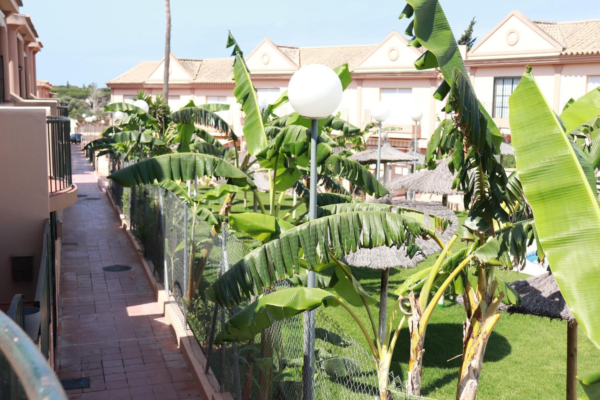Playa La Barrosa, Alojamientoslola チクラナ・デ・ラ・フロンテーラ エクステリア 写真